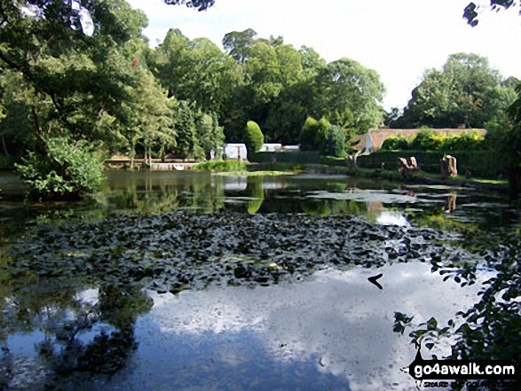 Leigh Place Pond near Godstone