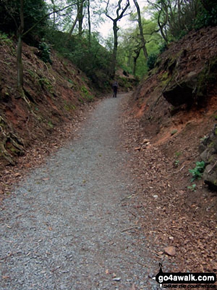 The Sandstone Trail in Snidley Moor Wood