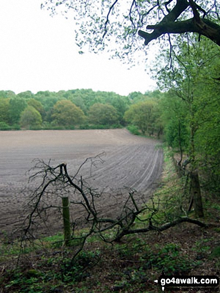 Farmland on the edge of Snidley Moor Wood