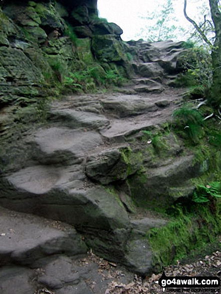 Sandstone 'steps' in Woodhouse Hill Wood