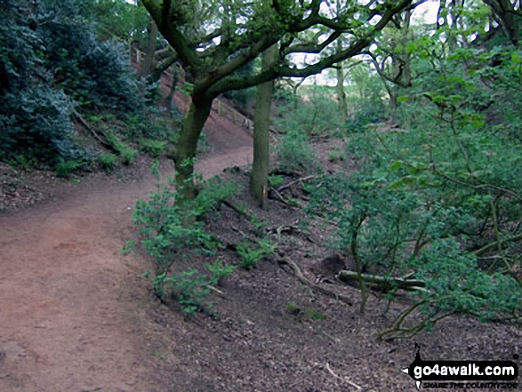 The Sandstone Trail in Dunsdale Wood near Frodsham