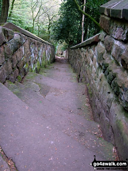 The Sandstone Trail in Dunsdale Wood near Frodsham