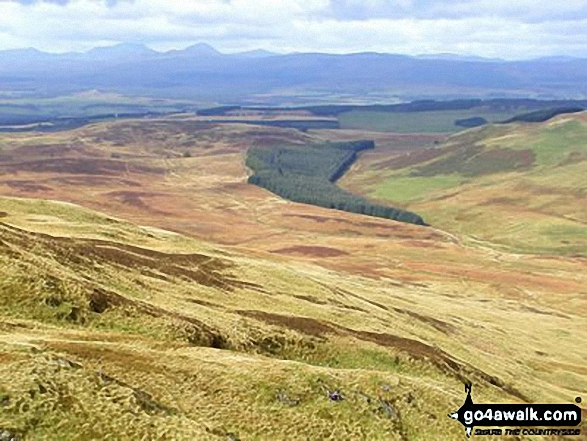 North West from Dumyat