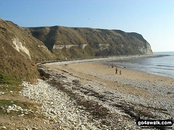 South Landing Beach, Flamborough Head