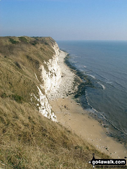 South Landing coast from the cliff top path, Flamborough Head