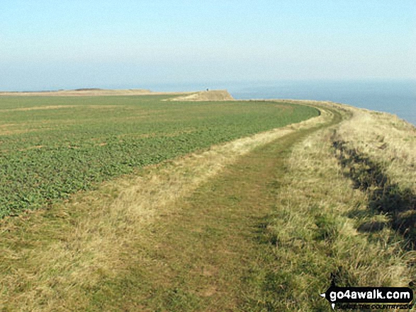 The cliff top path north of South Landing, Flamborough Head