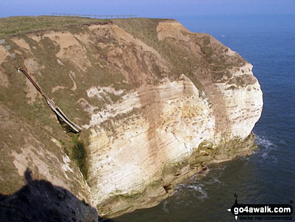 The Cliffs Flamborough Head