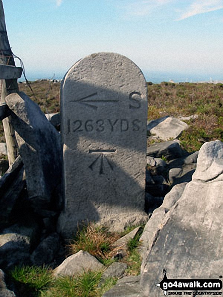 Sighting Stone on Grit Fell