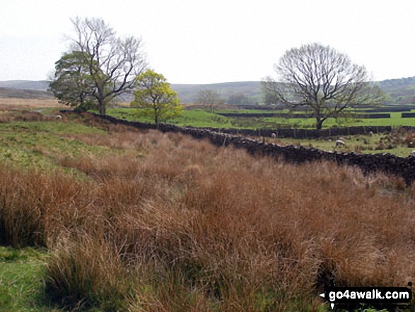 White Moor from Backside of Tarnbrook Fell