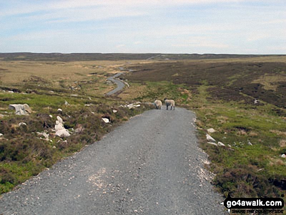 Lonely Road on Tarnbrook Fell