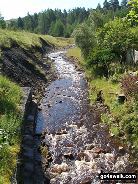 Old Carr's Burn at the bottom of Dowgang Hush