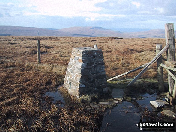 Walk c319 Cross Wold from Dent Railway Station - Great Knoutberry Hill (Widdale Fell) summit