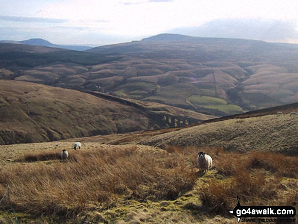 Walk c319 Cross Wold from Dent Railway Station - The Arten Gill Beck railway viaduct with Ingleborough (far left) and Whernside (centre) on the horizon from Great Knoutberry Hill (Widdale Fell)