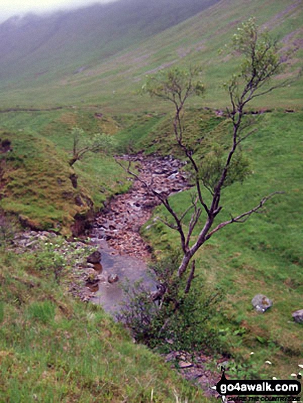 Walk h179 Stob Coire Raineach (Buachaille Etive Beag) and Buachaille Etive Beag (Stob Dubh) via Lairig Gartain from The Pass of Glencoe - The River Coupall in Lairig Gartain