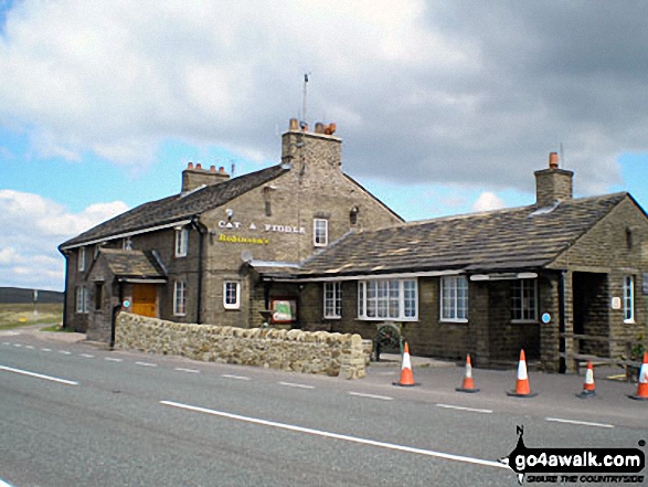 The Cat and Fiddle