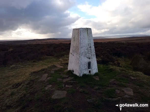 Walk d261 Totley Moor from Longshaw Country Park - Totley Moor trig point