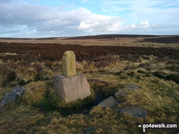 Walk d261 Totley Moor from Longshaw Country Park - Lady's Cross on White Edge Moor