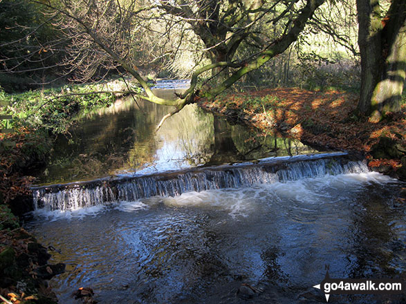 Walk s231 Wolfscote Dale and The River Dove from Alstonefield - The River Dove in Beresford Dale