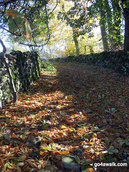 Walled footpath in Beresford Dale