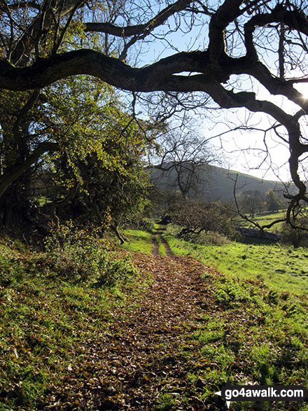 Walk d318 Beresford Dale, Alstonefield and Wolfescote Dale from Hartington - Footpath heading toward Narrowdale