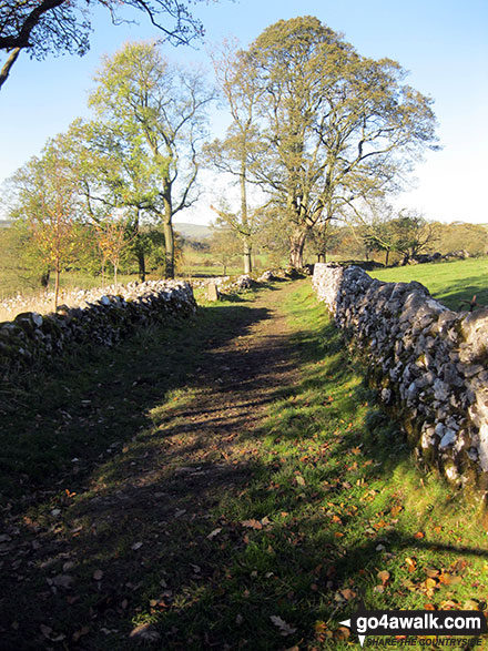 Footpath near Narrowdale