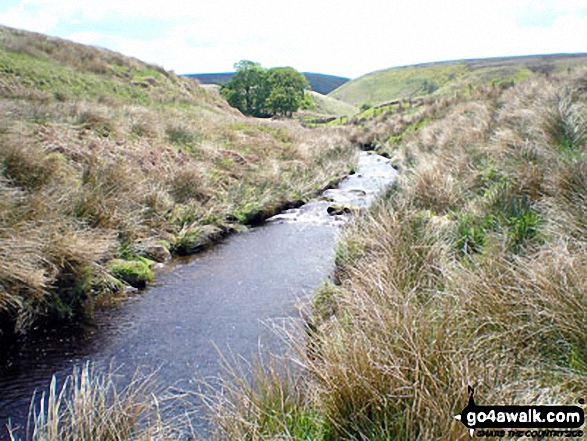 The River Dane in Danebower Hollow