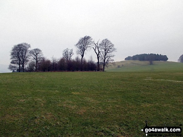 Moatless Plantatiion on Calton Pastures