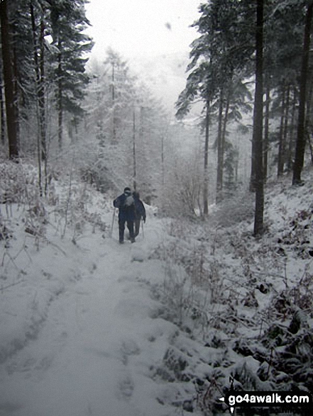 Walk d288 Winhill Pike from Hope - Tramping through the Winhill Pike (Win Hill) woods in heavy snow