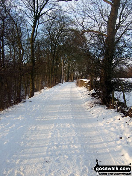 Snowy lane north of Castleon