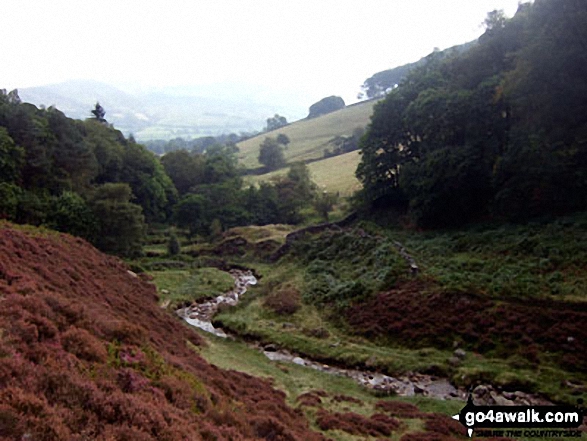 Grinds Brook