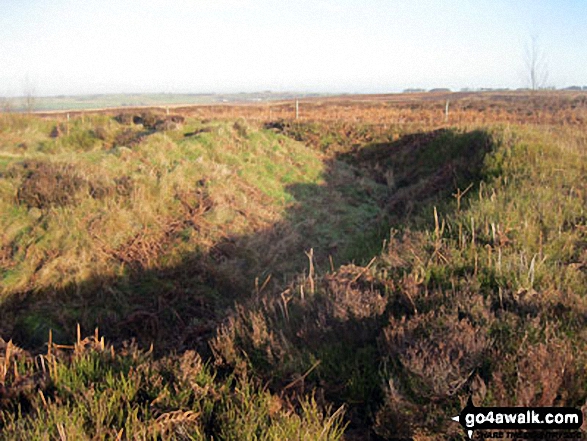 Hob Hurst's House on Beeley Moor