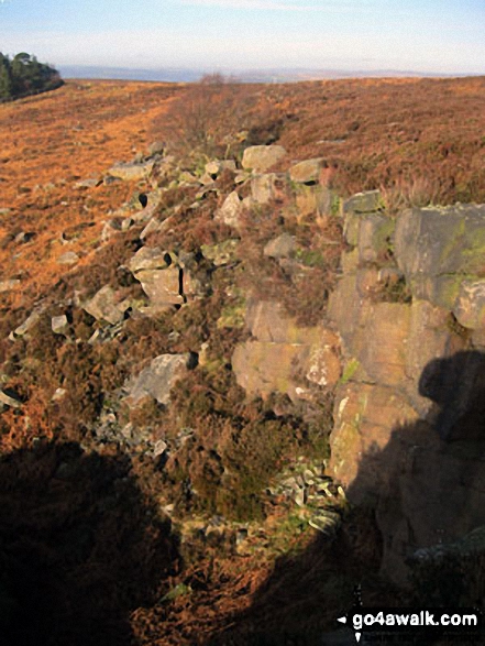 Harland Edge on Beeley Moor