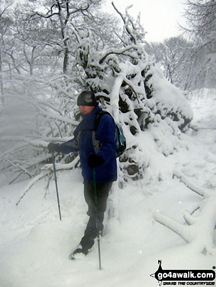 Walk d288 Winhill Pike from Hope - 'Mozzer' Morris on Winhill Pike (Win Hill) in heavy snow