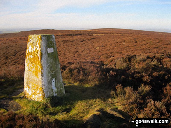 Trig Point on Beeley Moor (South East Top)