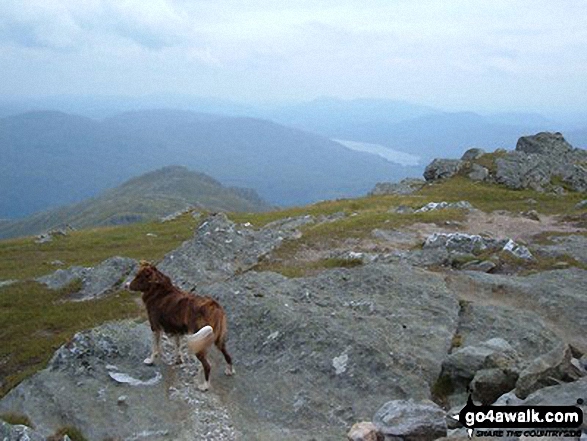 Ben Vorlich (The Arrochar Alps) Photo by Douglas Carse