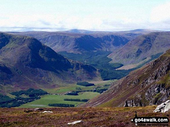 The view from Ben Reid (Ben Tirran) featuring The Scorrie (left), Craig Mellon (centre), Cairn Damff (distance) and Glen Doll (below)