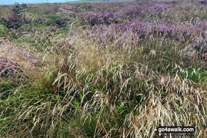 Walk d169 Eyam, Sir William Hill, Stoke Ford, The River Derwent, Grindleford and Froggatt from Stoney Middleton - Eyam Moor