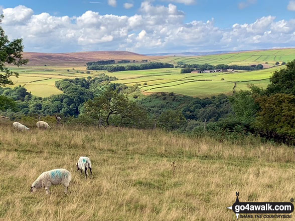 Walk d169 Eyam, Sir William Hill, Stoke Ford, The River Derwent, Grindleford and Froggatt from Stoney Middleton - Eyam Moor from Sir William Hill