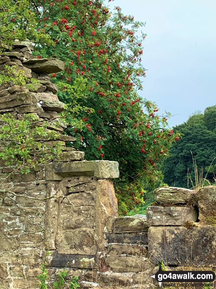 Walk d169 Eyam, Sir William Hill, Stoke Ford, The River Derwent, Grindleford and Froggatt from Stoney Middleton - On Sir William Hill