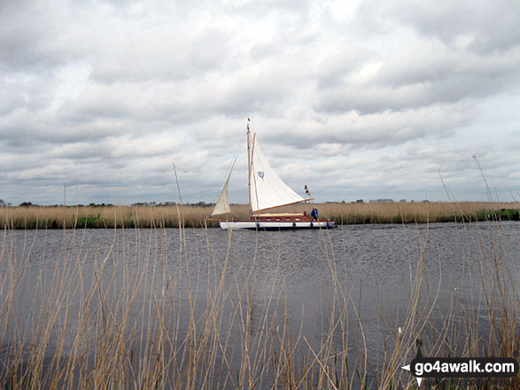 Walk nf117 The River Bure from South Walsham Broad (Pilson Green) - Wherry on the River Bure