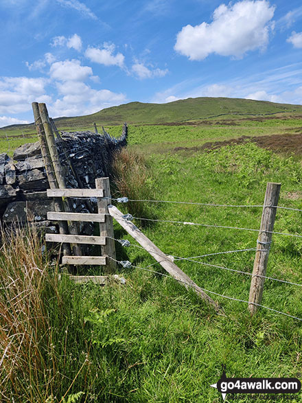 Walk c449 Sour Howes and Sallows from Kentmere - Stile over a fence at a wall corner on the way up Capple Howe