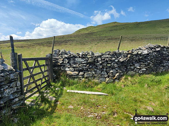 Walk c449 Sour Howes and Sallows from Kentmere - Wall gate with Capple Howe beyond