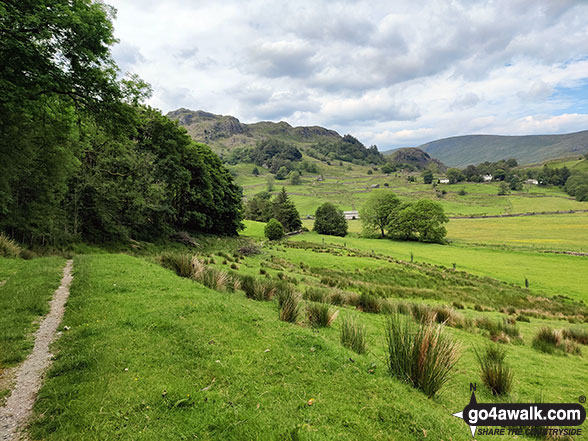 Walk c449 Sour Howes and Sallows from Kentmere - Entering Hall Wood in the Kentmere Valley