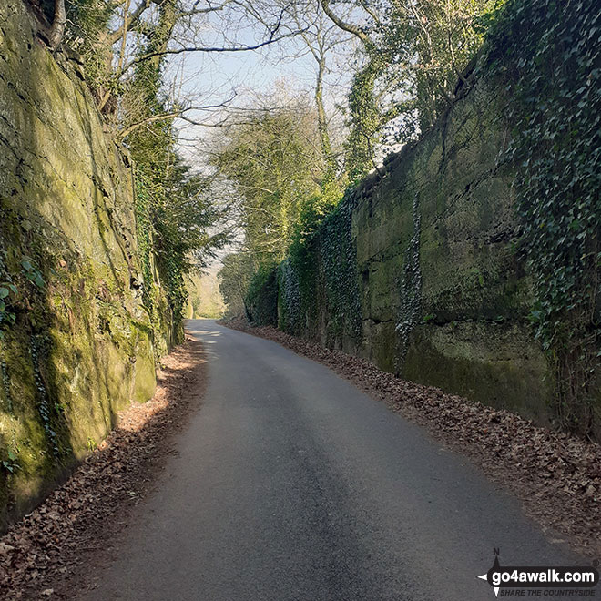 Walk ch120 The Bridgewater Canal from Lymm - Firs Lane near Bellfield Farm