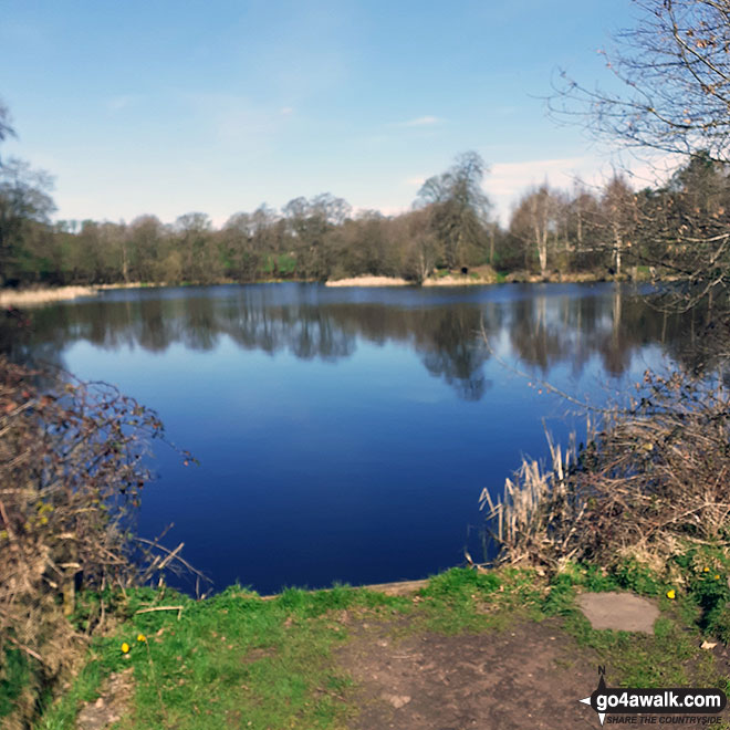 Walk ch235 Newchurch Common from Whitegate - New Pool