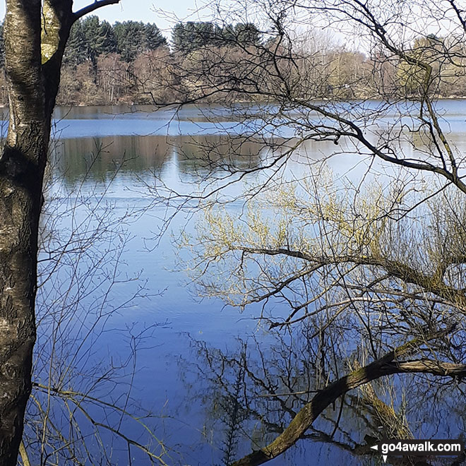 Walk ch235 Newchurch Common from Whitegate - Petty Pool