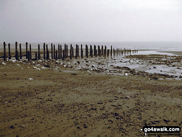 The Kilnsea clays, Spurn Head