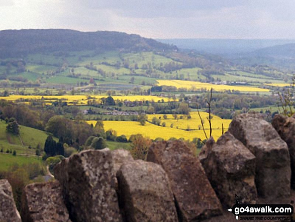 Cooper's Hill from Crickely Hill