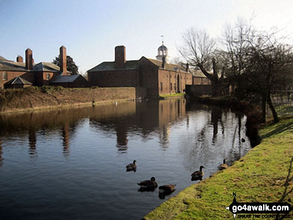 Walk ch102 Dunham Massey and The Bridgewater Canal from Lymm - Dunham Massey