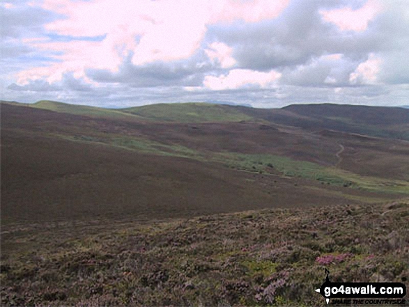 Pen Bwlch Llandrillo Top from the summit of Cerrig Coediog